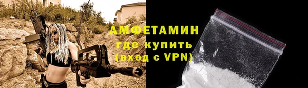 сатива Кукмор
