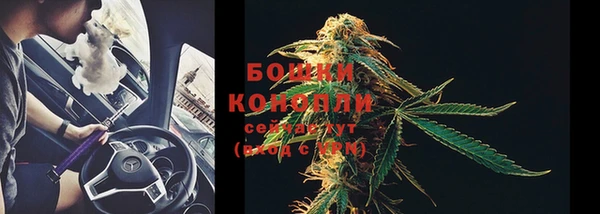 сатива Кукмор