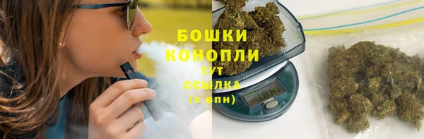 сатива Кукмор