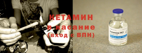 сатива Кукмор