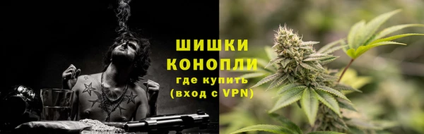сатива Кукмор