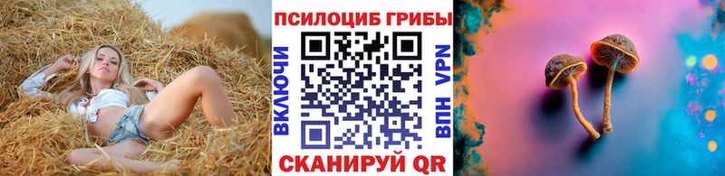 кракен   Чудово  Псилоцибиновые грибы MAGIC MUSHROOMS  купить наркотики сайты 